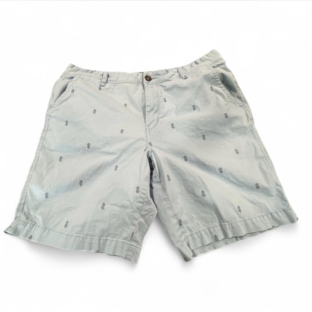 Men's Aeropostale Light Blue Pineapple Print Casual Shorts
